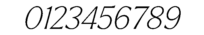 Larken Italic Font OTHER CHARS