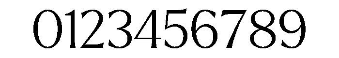 Larken Light Font OTHER CHARS