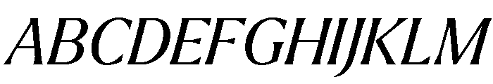 Larken Regular Italic Font UPPERCASE