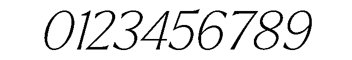 Larken Thin Italic Font OTHER CHARS