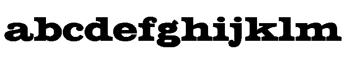 LDNClarendonPosterPro Black FONT