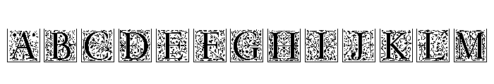 LDNGaramondInitials FONT