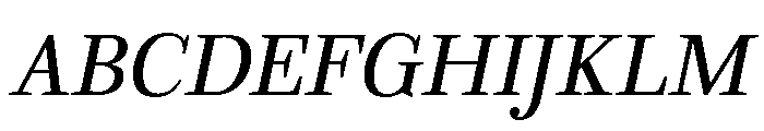 LDNWestminsterText Italic Font UPPERCASE