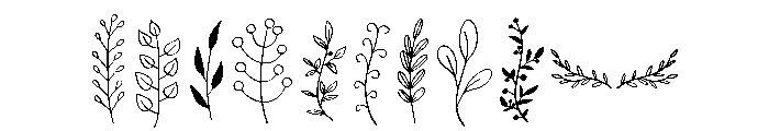 Leaf Line Art Font OTHER CHARS