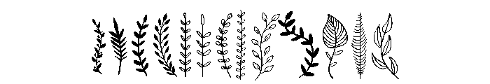 Leaf Line Art FONT