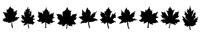 Leaf Silhouette Set Font OTHER CHARS