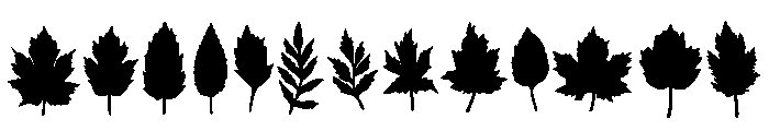 Leaf Silhouette Set Font UPPERCASE
