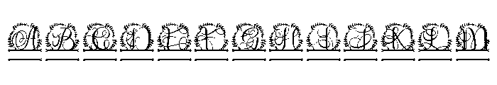 Leafenca Split Monogram FONT