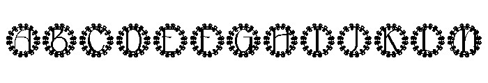 Leafori Monogram FONT