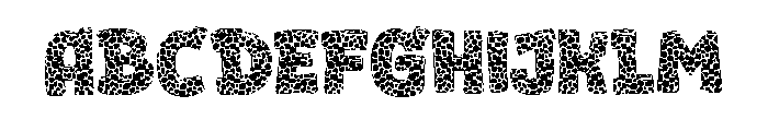 Leopard Font 3 FONT