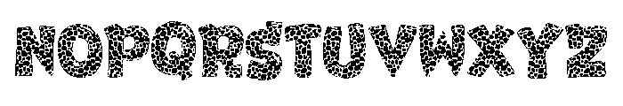 Leopard Font 3 Font LOWERCASE