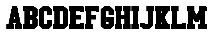 Leopard Varsity Pink FONT