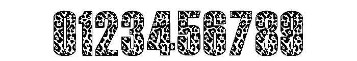Leopard World Regular Font OTHER CHARS