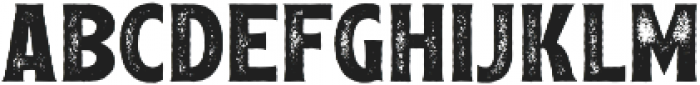 Leftfield Serif R otf (700) Font LOWERCASE