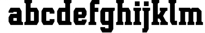 Leophard Font Family Font LOWERCASE