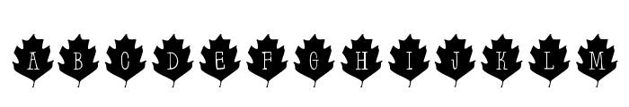 Leaf Letters  Regular Demo Font UPPERCASE