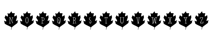 Leaf Letters  Regular Demo Font UPPERCASE
