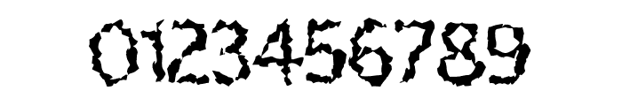 Leafmold Leafmold Font OTHER CHARS