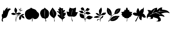 Leaves Font LOWERCASE