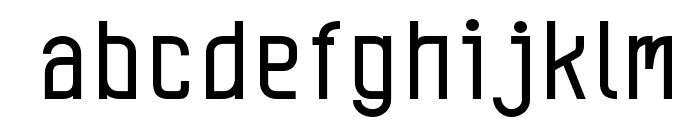 Leicht book Font LOWERCASE