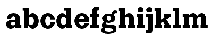 Lehigh Personal Bold Font LOWERCASE