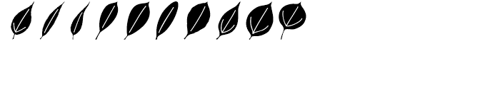 Leaf Assortment Regular Font OTHER CHARS