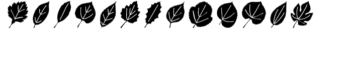 Leaf Assortment Regular Font LOWERCASE