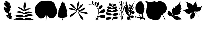 Leaves and Straw Up Font UPPERCASE