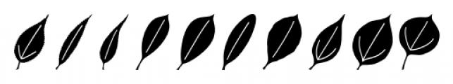 Leaf Assortment Regular Font OTHER CHARS