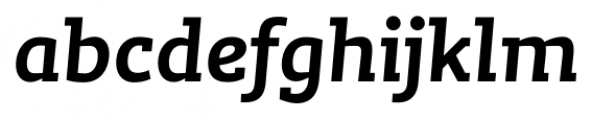 Lev Serif Bold Italic Font LOWERCASE