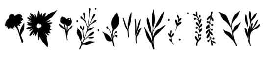 Leaves and Twigs Floral2 Font LOWERCASE