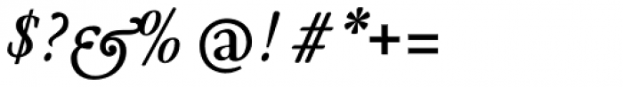 Leidener Bold Italic Font OTHER CHARS