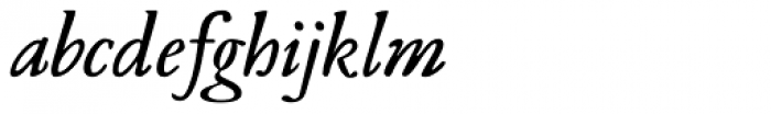 Leidener Bold Italic Font LOWERCASE