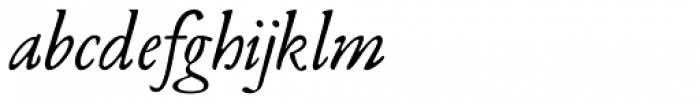 Leidener Italic Font LOWERCASE