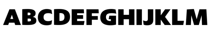 Leksikal Sans Black Font UPPERCASE
