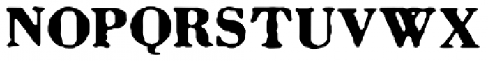 Letterhack Serif Bold Font UPPERCASE