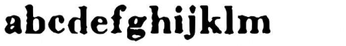 Letterhack Serif Bold Font LOWERCASE