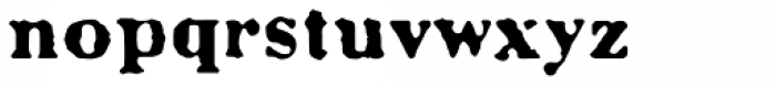 Letterhack Serif Bold Font LOWERCASE