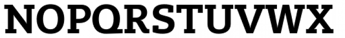 Lev Serif Bold Font UPPERCASE