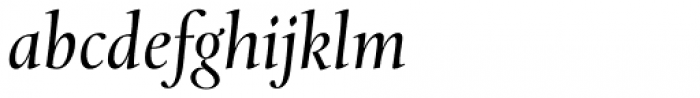 Levato Std Italic Font LOWERCASE