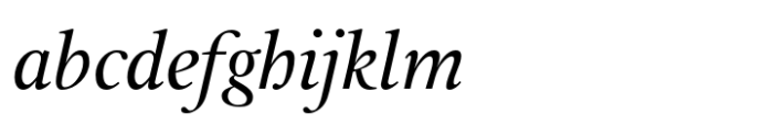 Leyden Italic Font LOWERCASE