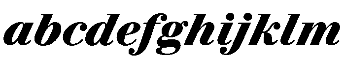 Le Jeune Text Black Italic FONT