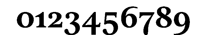 Lector Bold Font OTHER CHARS