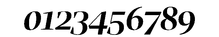 LemanicItalicGX BoldItalic Instance 093db98d Font OTHER CHARS