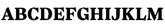 LeviDLv1AAA Bold Font UPPERCASE