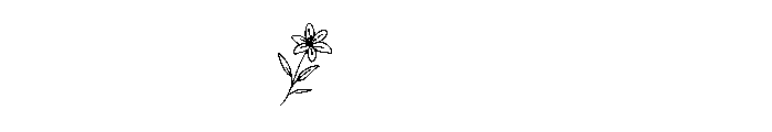 Lily  Floral Monogram Suse Reg Font OTHER CHARS