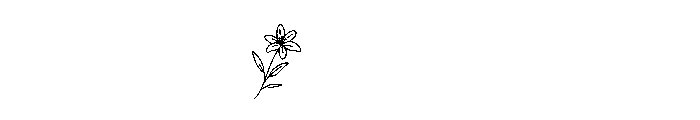 LilyFloralMonogramSuse-Reg Font OTHER CHARS