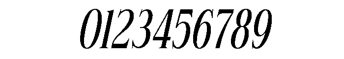 Linneva Italic Font OTHER CHARS