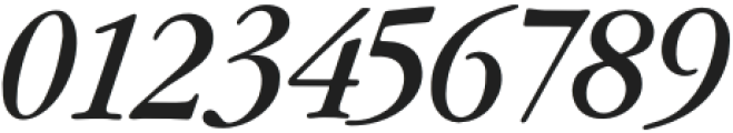 Liria Italic otf (400) Font OTHER CHARS