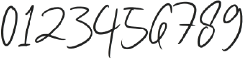 Lisasha Signature Regular otf (400) Font OTHER CHARS